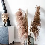 Sack-time Fashion Boutique 6&7 *